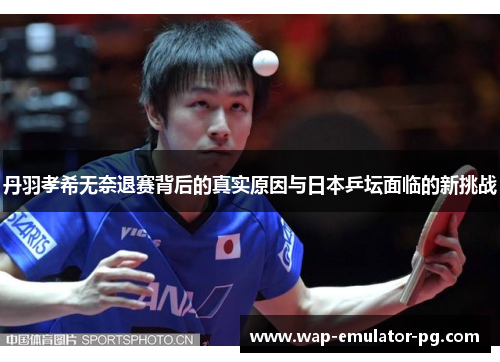 丹羽孝希无奈退赛背后的真实原因与日本乒坛面临的新挑战