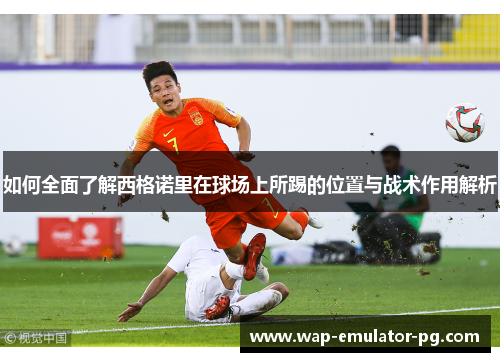 如何全面了解西格诺里在球场上所踢的位置与战术作用解析