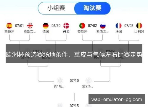 欧洲杯预选赛场地条件，草皮与气候左右比赛走势